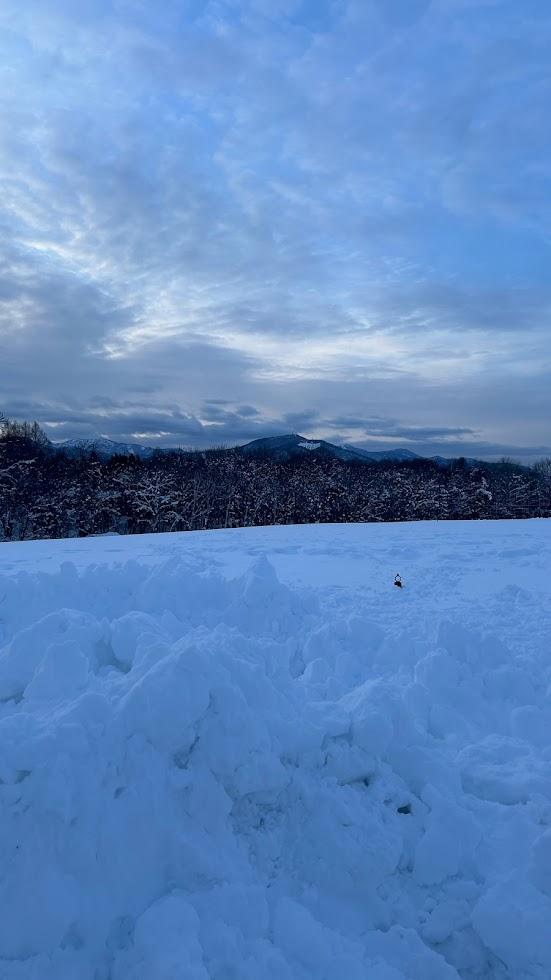 北海道の雪景色の写真