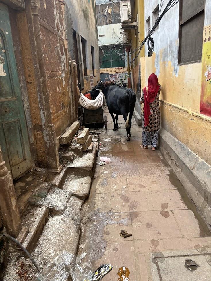 バラナシの路地の写真